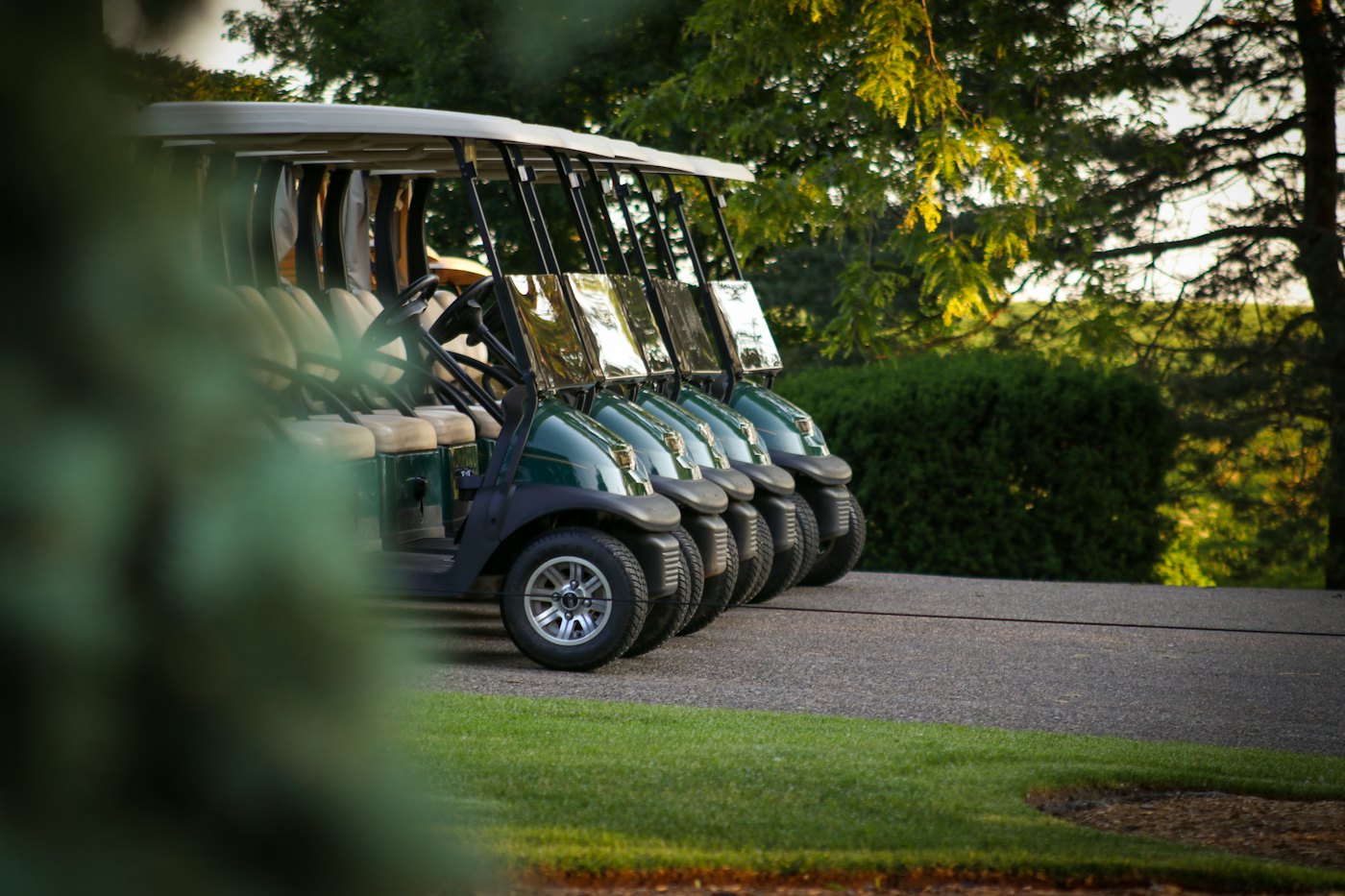 A row of golf carts parked beside the course
