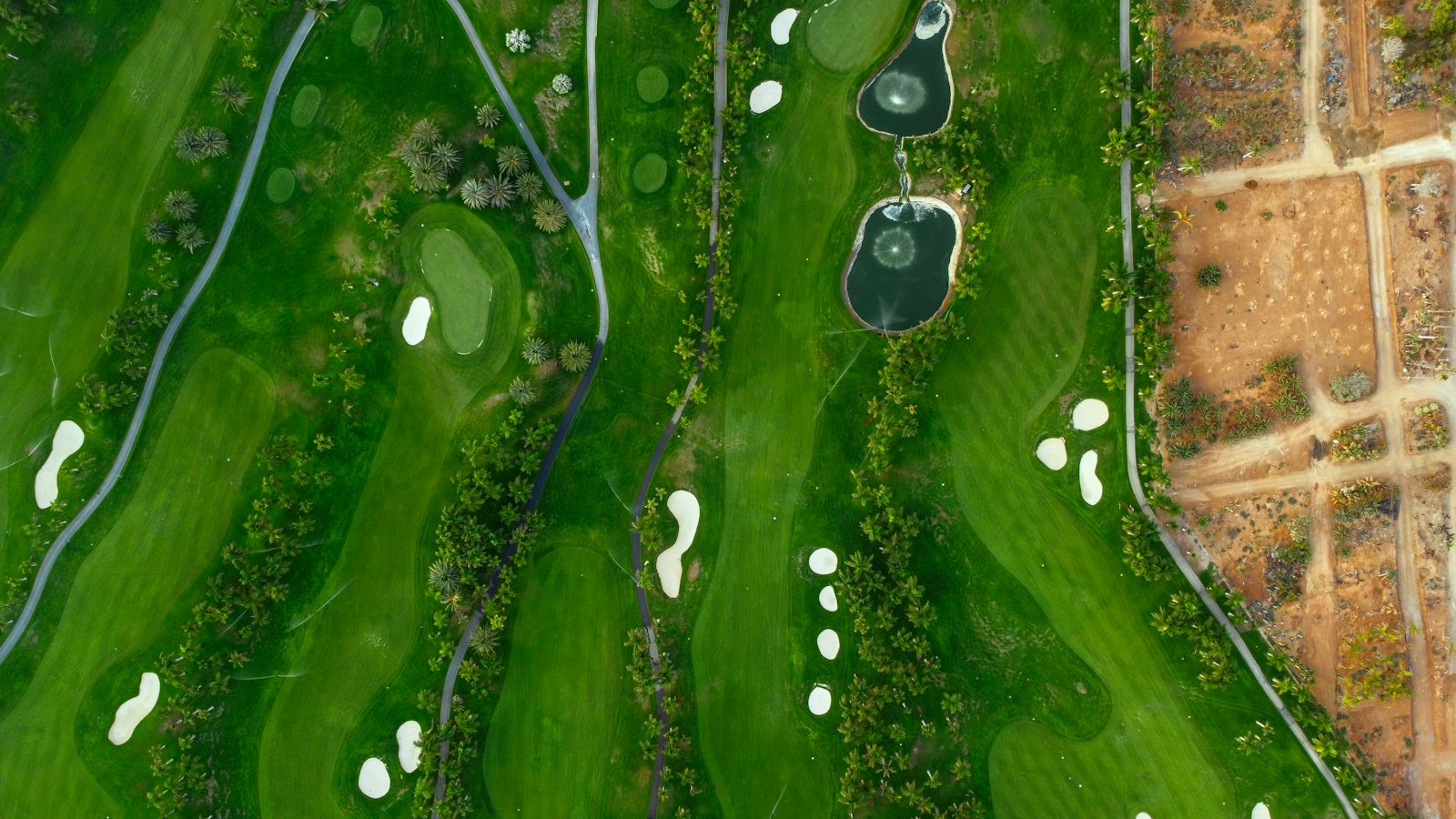 Aerial view of fairways from above