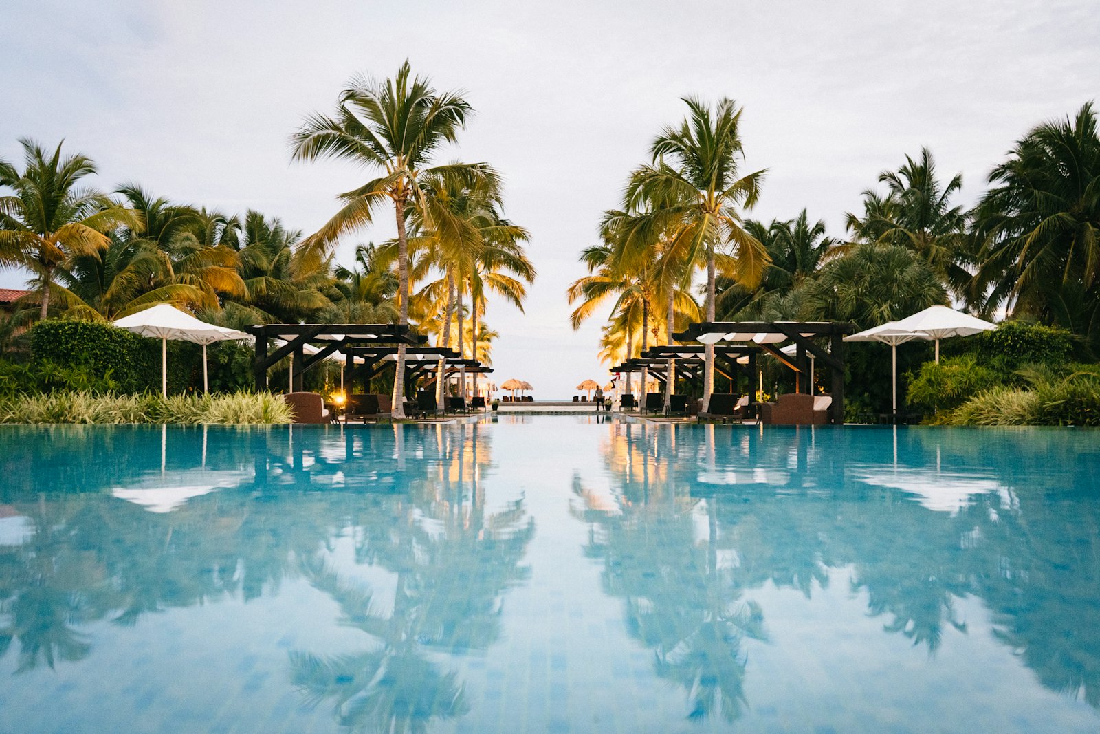 A resort pool framed by palm trees